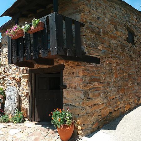 Veniata Otel San Pedro de las Herrerías Dış mekan fotoğraf