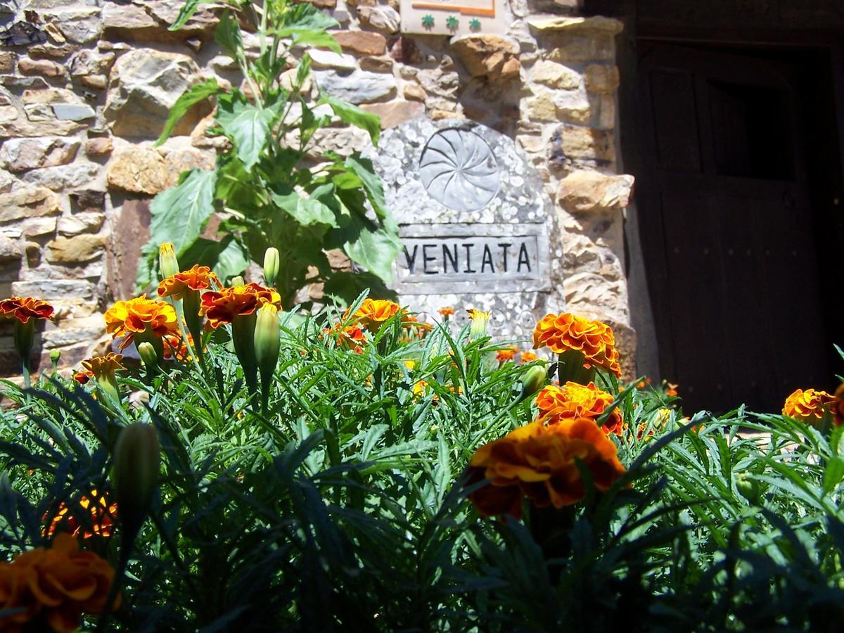 Veniata Otel San Pedro de las Herrerías Dış mekan fotoğraf